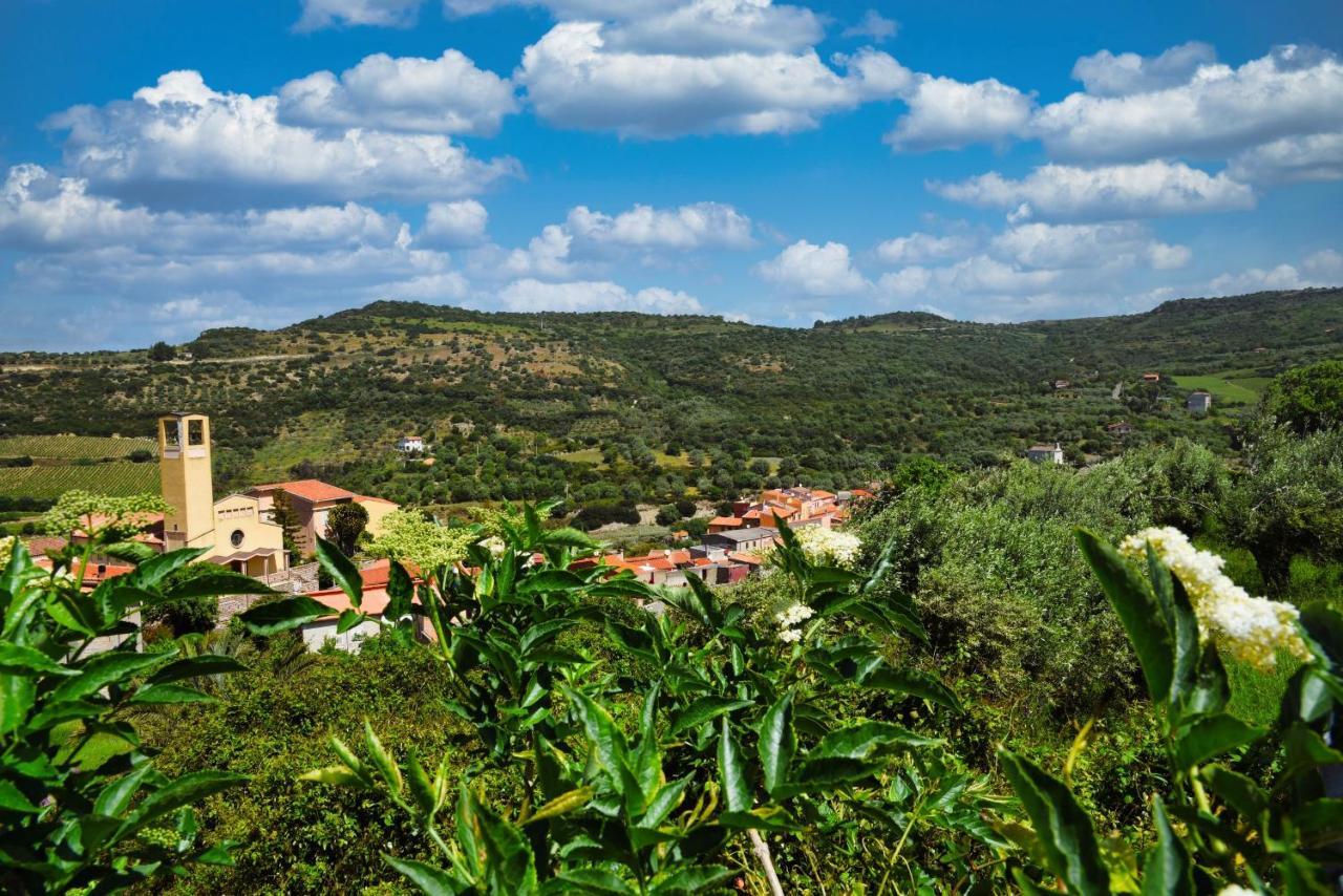 Arcu De Chelu B&B Модоло Экстерьер фото